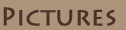 Pictures