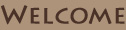 Welcome
